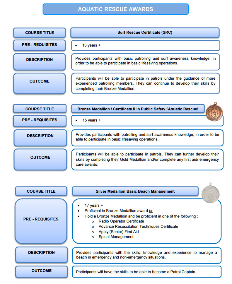 Lifesaving Awards Pathways (Image 2).png (792Ã970)