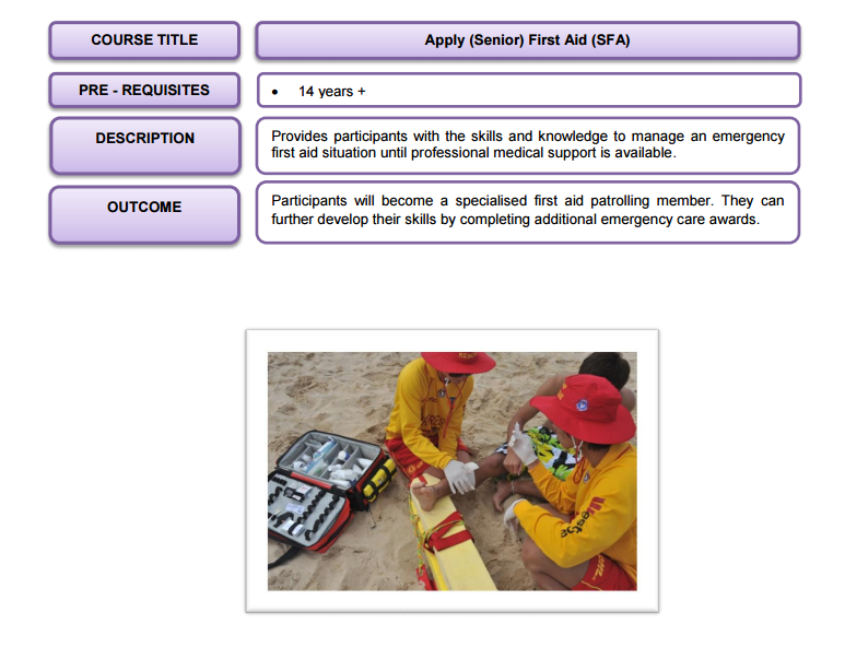 Lifesaving Awards Pathways (Image 3).png (773Ã592)