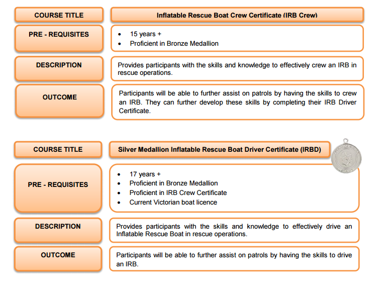 Lifesaving Awards Pathways (Image 4).png (760Ã593)